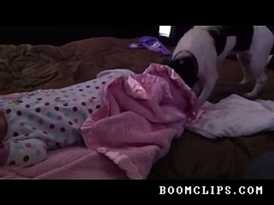 cute_dog_tucks_in_baby