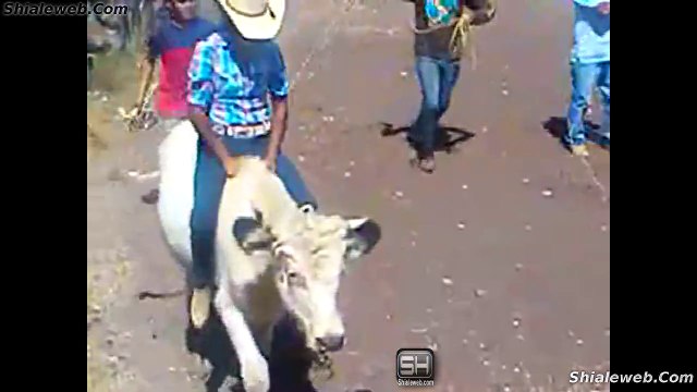 Jaripeo Vaquero De Rancho Divertido Gente Del Pueblo Montando A Pelo Sin Espuelas 2015