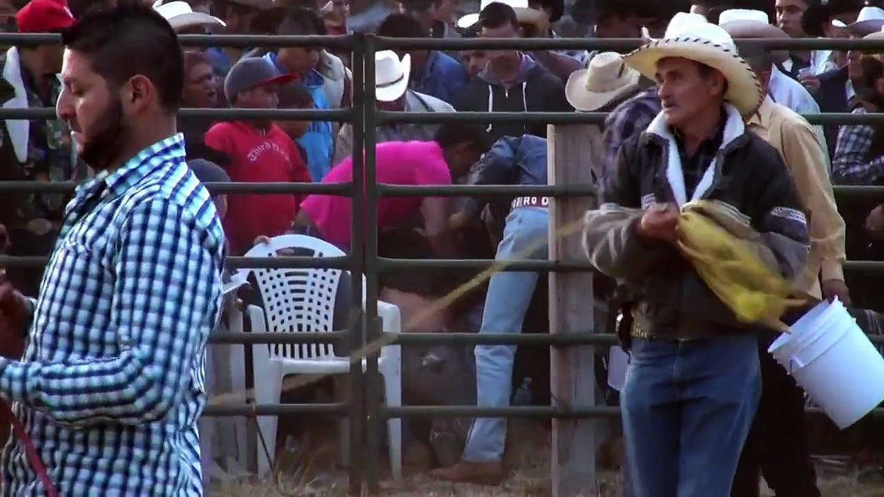 Tragica Muerte De Jinete ESTRELLA DE SEVINA Por  Toro Rey Escorpión En Iratzio 2015
