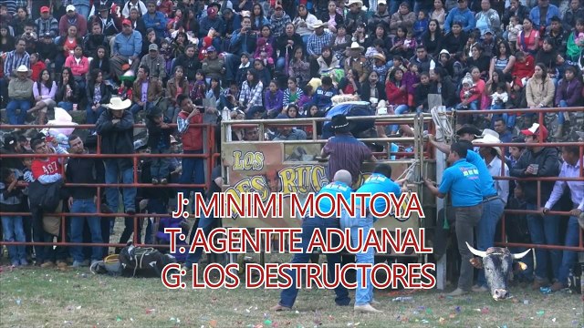 ¡¡¡Espuela libre 5 Quedas!!! Rancho LOS DESTRUCTORES De Memo Ocampo En Arocutin 2014