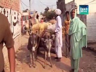 India, Pakistan exchange fire along Working Boundary