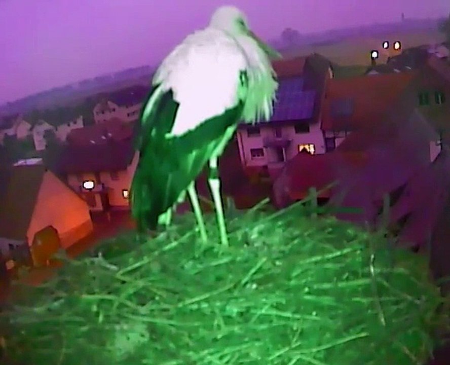 07.01.2015 Debout Lara ! / Aufstehen Lara !