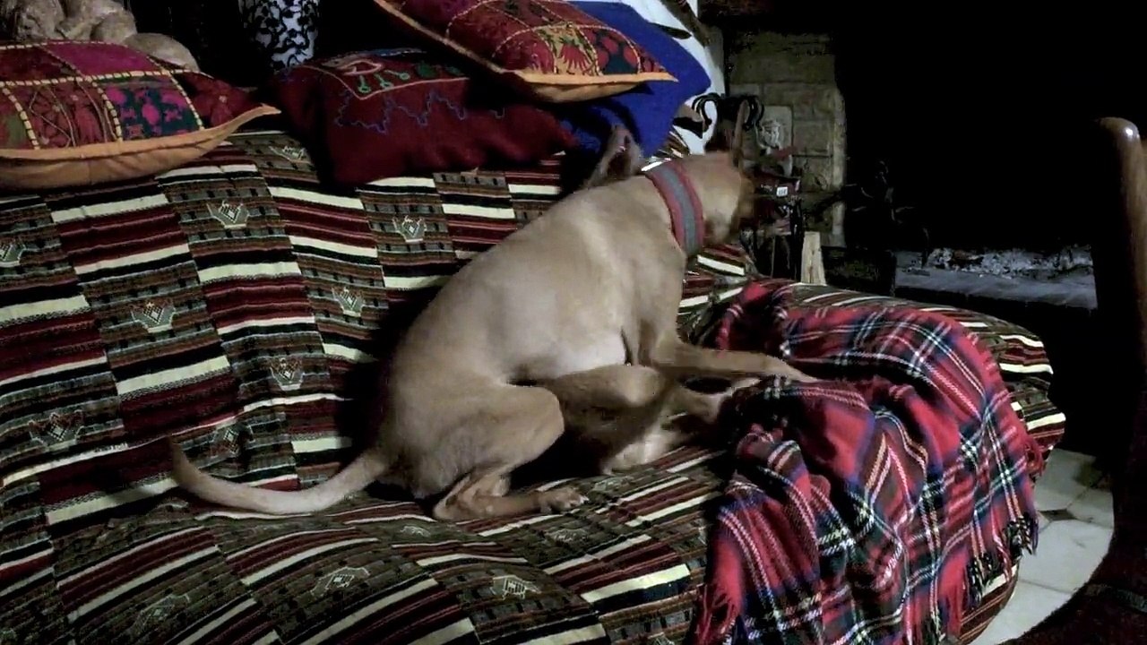 Paty and Aitch jouent chez Marie et Maïté