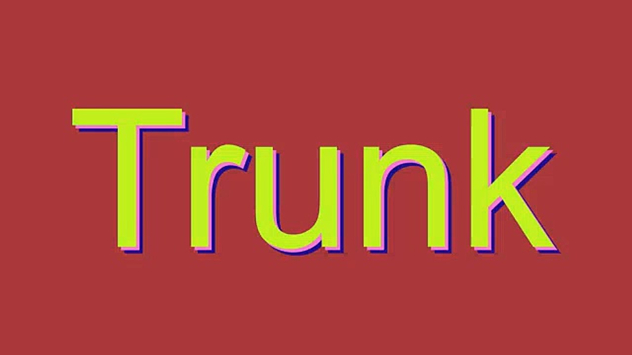 How to Pronounce Trunk
