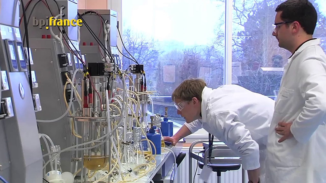 Fermentalg, le bienfait des algues au quotidien