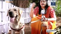 Fatafat News Express!! - Saathiya - 7th Jan 2015