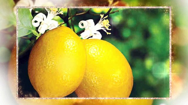 Garam Masala by Leena Spices Recipe of Fish Cakes