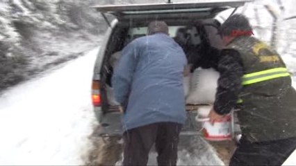 Bartın'da Yaban Hayvanları İçin Doğaya Yem Bırakıldı