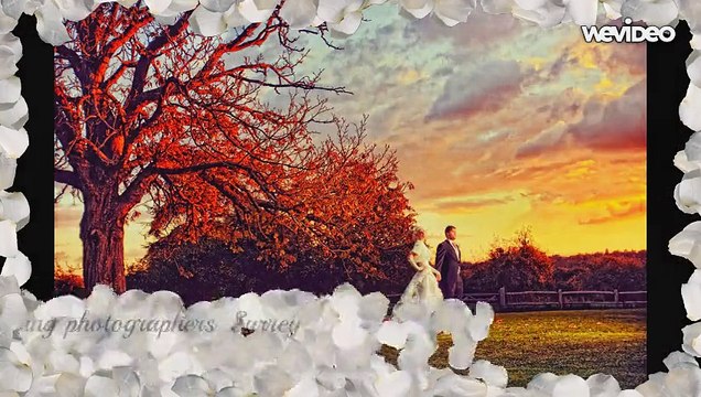 Photography Gallery of award winning photographers