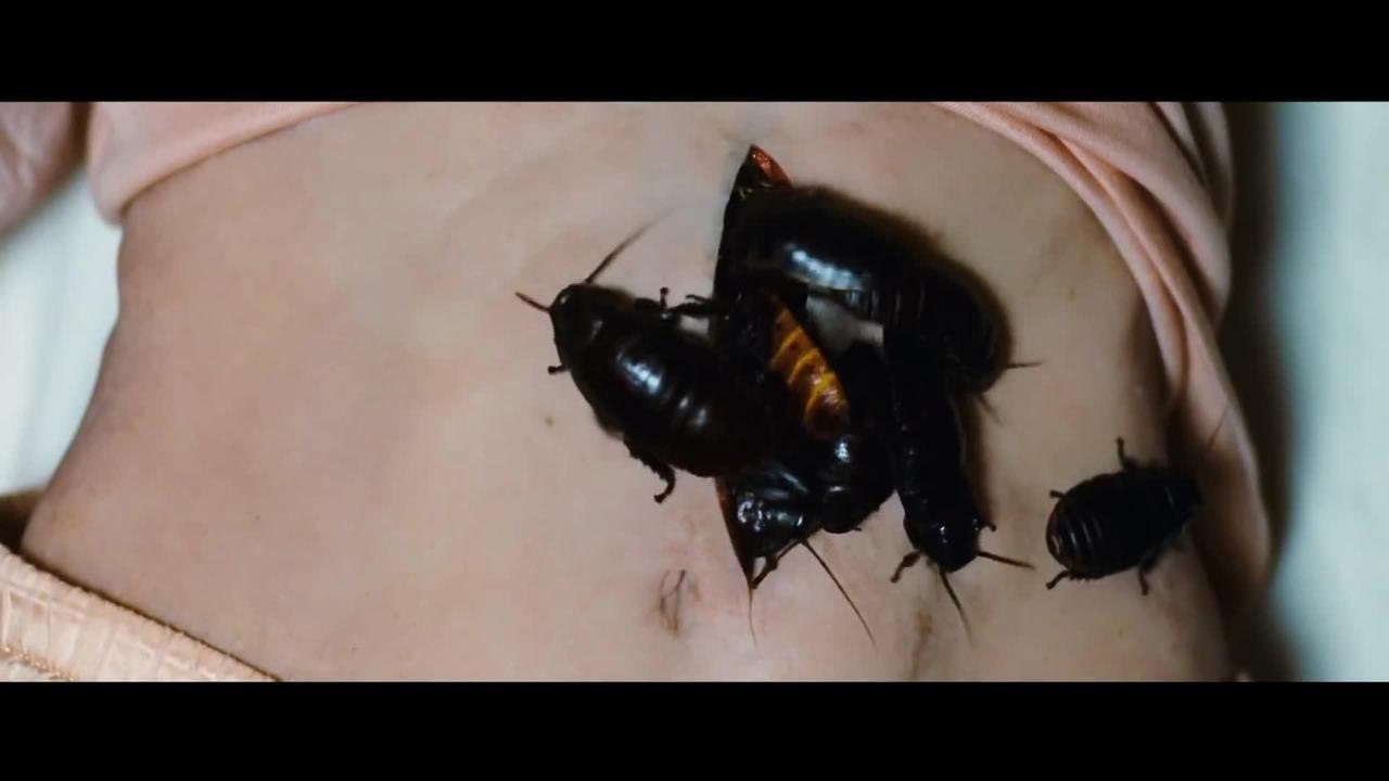 Goodnight Mommy (Ich seh Ich seh) - Trailer (Deutsch) HD