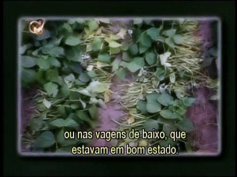 Encounters With The Unexplained - Círculos Ingleses - Legendado