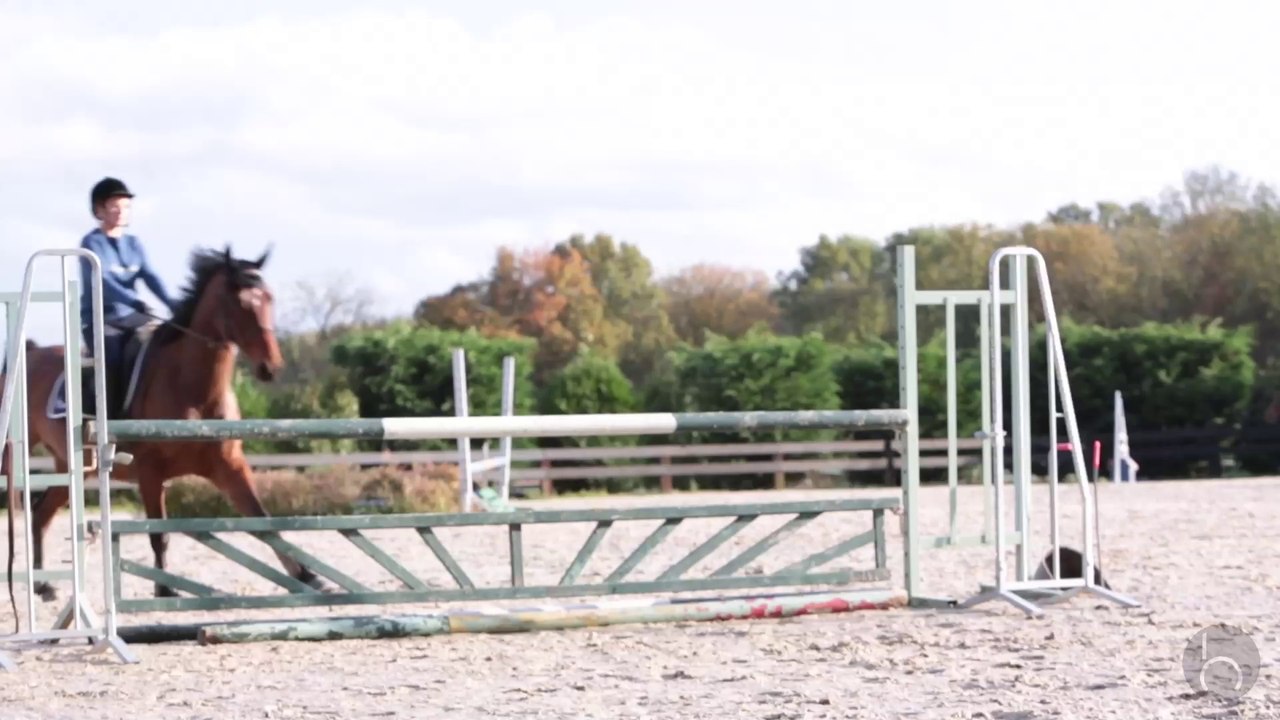 Saut d'Obstacles by horseCom & Xavier Delalande