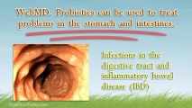 Digestive Problems Can Be Treated With Quality Probiotics