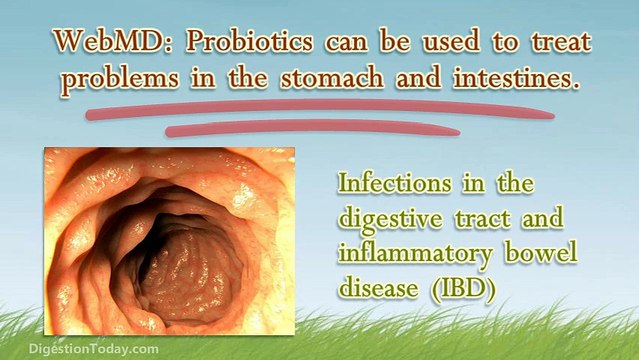 Digestive Problems Can Be Treated With Quality Probiotics