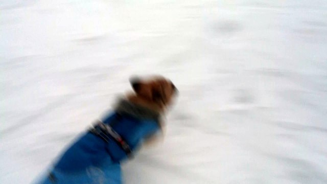 Luigi rolling down the snowy hill @ Livigno
