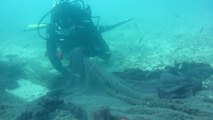 Extracción de redes abandonadas en el  lecho marino
