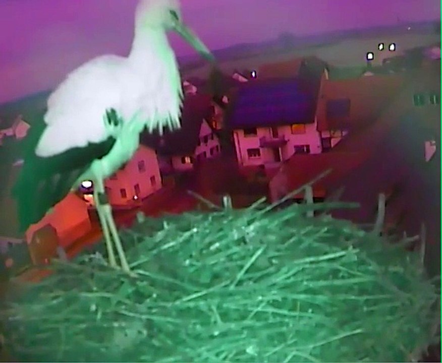 07.01.2015  J'atterris ! / Ich lande !