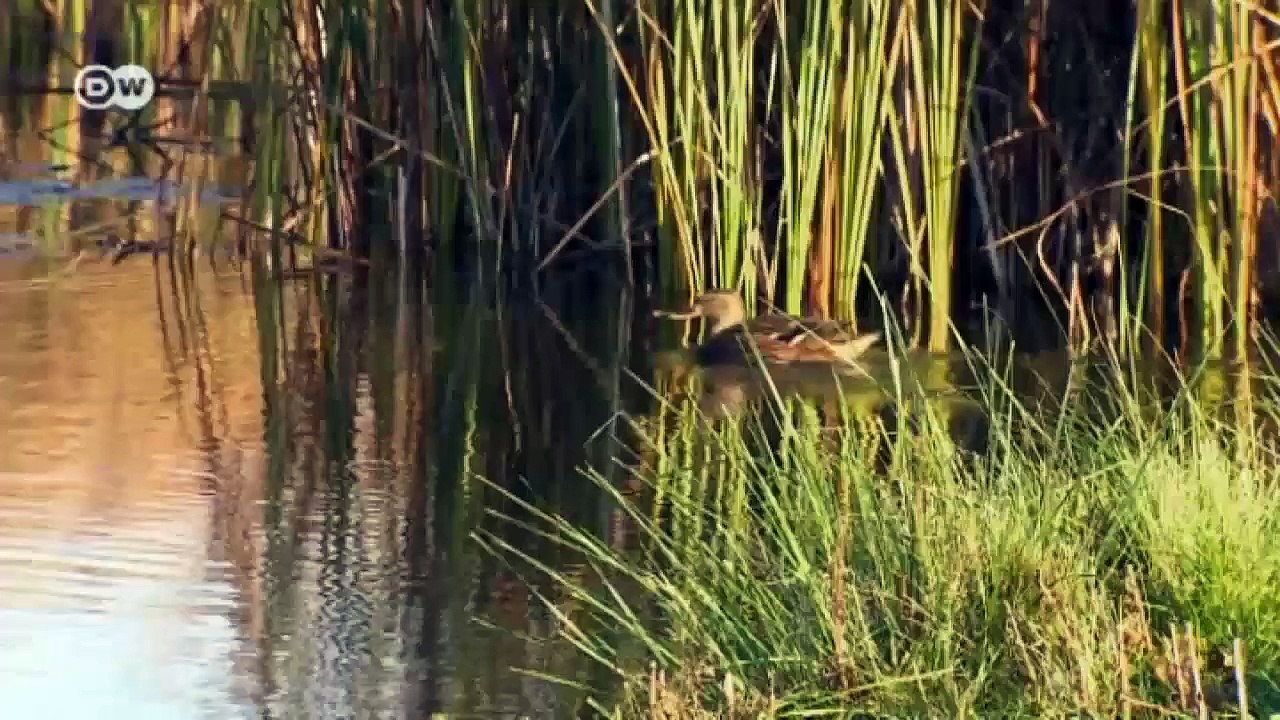 Rolls Royce Produktion in Goodwood - ein Blick hinter die Kulissen | Motor mobil