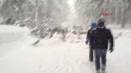 Bursa Ağaçlar Yılıkınca Yol Trafiğe Kapandı