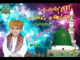 JULUS-E-MILAD RELY FOR MAJEED COLONY LANDHI KARACHI