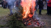 Tree throwing contest concludes Christmas celebrations