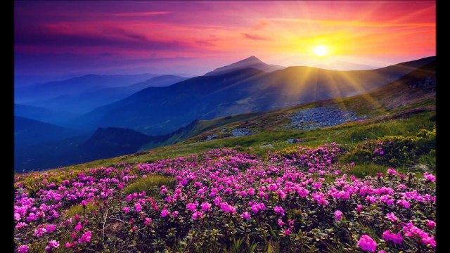 CANCIÓN DÍA DE PAZ CEIP SIMÓN BOLÍVAR 2015