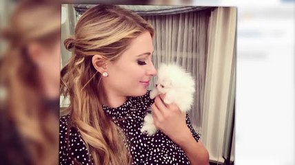Paris Hilton Pays $25 Thousand Dollars For Two New Dogs