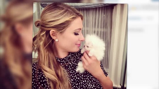Paris Hilton Pays $25 Thousand Dollars For Two New Dogs