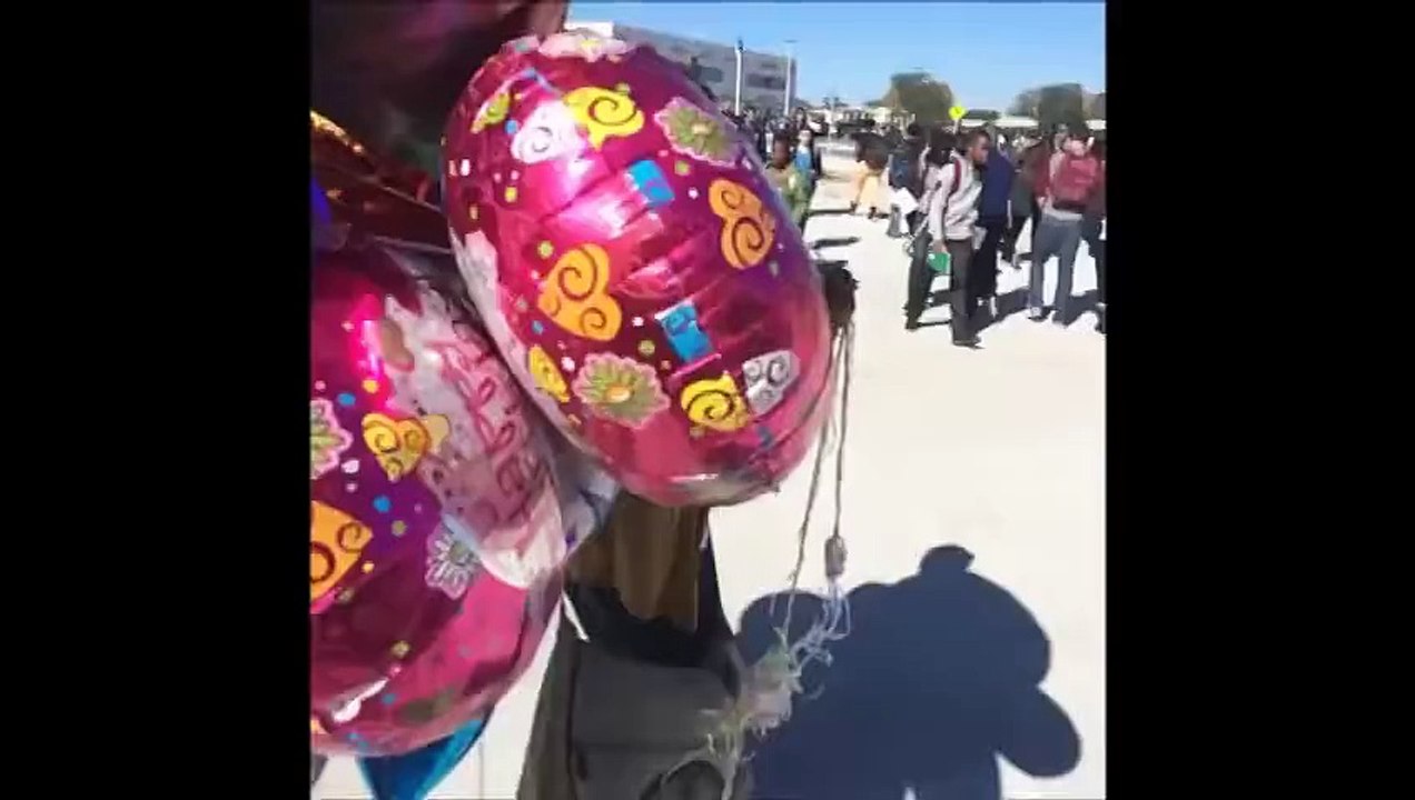 Top 80 Vine Girls -- BestVine