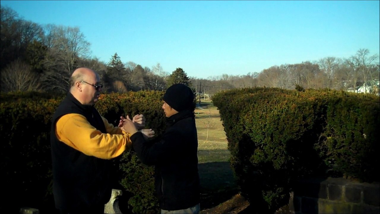 a lesson in Chi Sao
