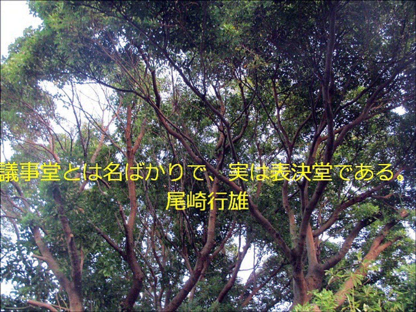 長谷川桜子 慣らし保育アドバイザー 子どもに読み聞かせたい言葉 尾崎行雄 動画 Dailymotion