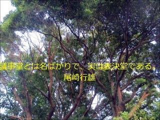 長谷川桜子（慣らし保育アドバイザー）～子どもに読み聞かせたい言葉「尾崎行雄」