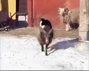 Who Wouldn t Want This Winter Day A Cozy Trip