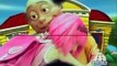 LazyTown   Series 1 Episodes 1   Welcome to LazyTown new 2