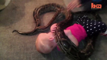 Baby Plays With ‘Beloved’ Pet Python