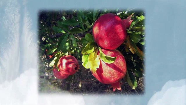 Как сохранить молодость Продукты позволяющие сохранить молодость часть 3