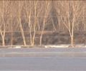 Soğuktan tarlalar bile dondu