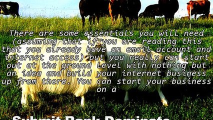 What do you really need to go into business on the internet?