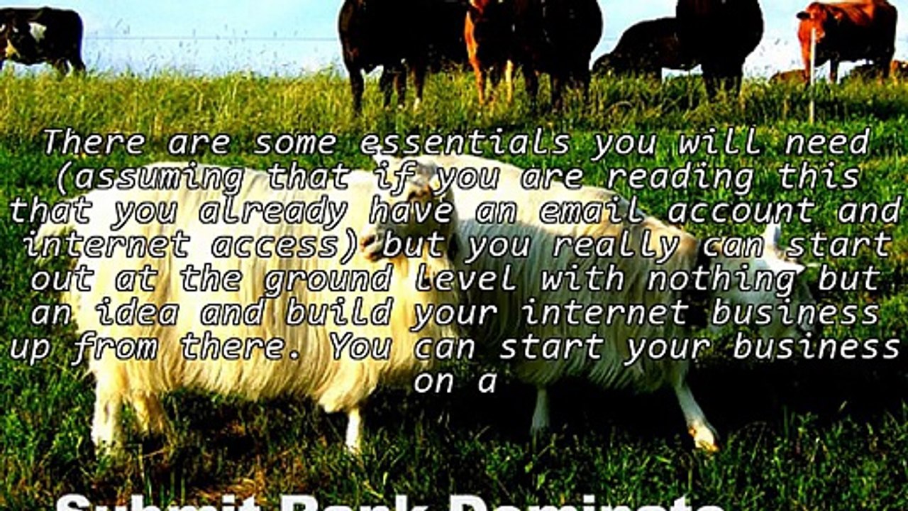 What do you really need to go into business on the internet?