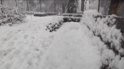 Şiddetli Kar Yağışı