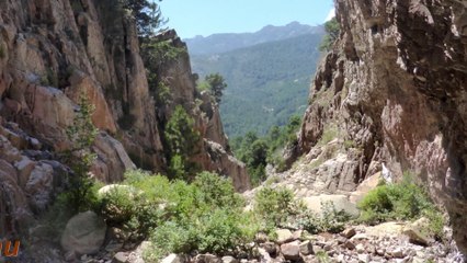 Le canyon de Lora (Haut-Cavu) en ravinisme 31-07-14