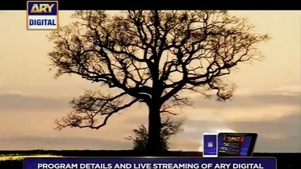 Chup Raho Episode 19 Ary Digital Drama 6 January 2015 Full And Complete