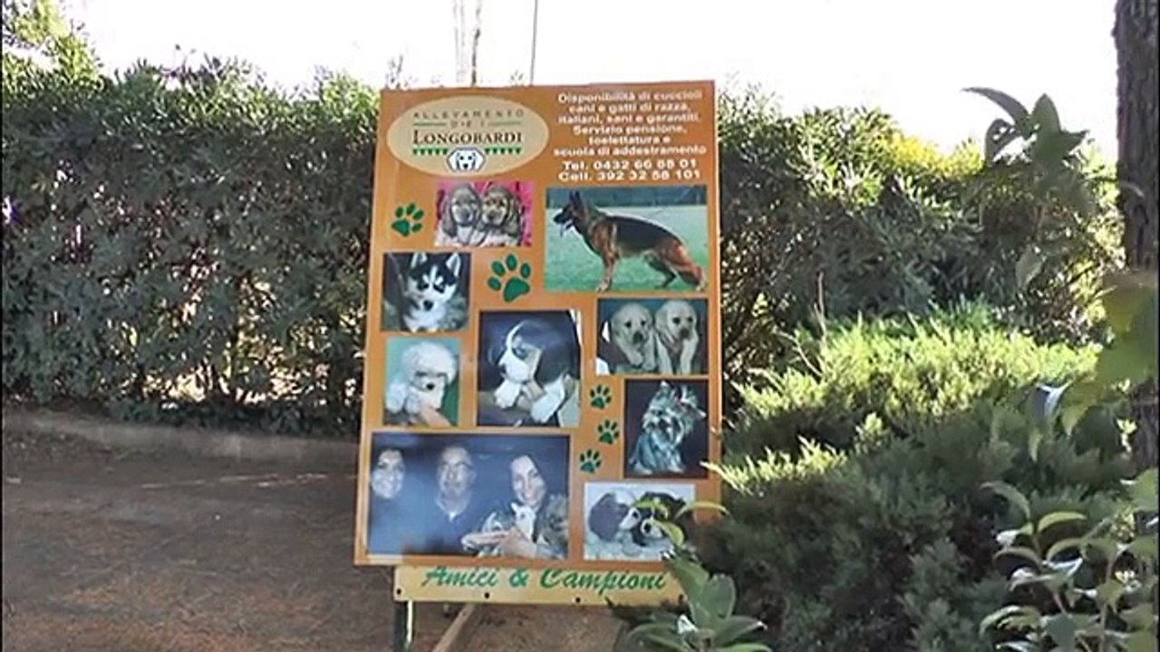 SEQUESTRO DI CANI, "MI HANNO ROVINATO"