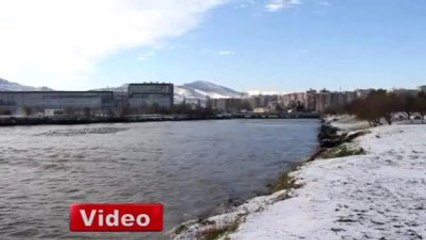 Karaya Oturan Gemi Kurtarılmayı Bekliyor