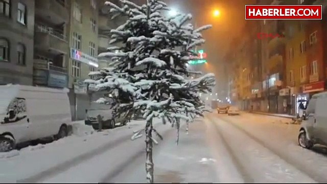 Van,Hakkari ve Bitlis'te 604 Köy ve 229 Mezranın Yolu Kapalı