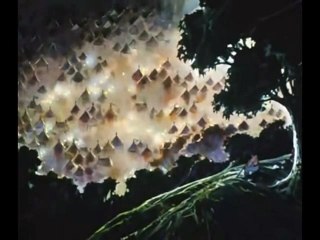 Berserk Guts and Caska