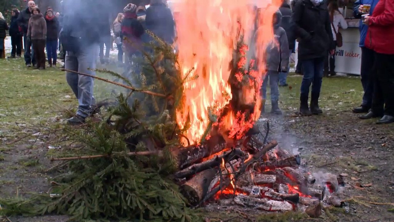 Weihnachtsbaumwerfen: Höher, weiter, Knut!