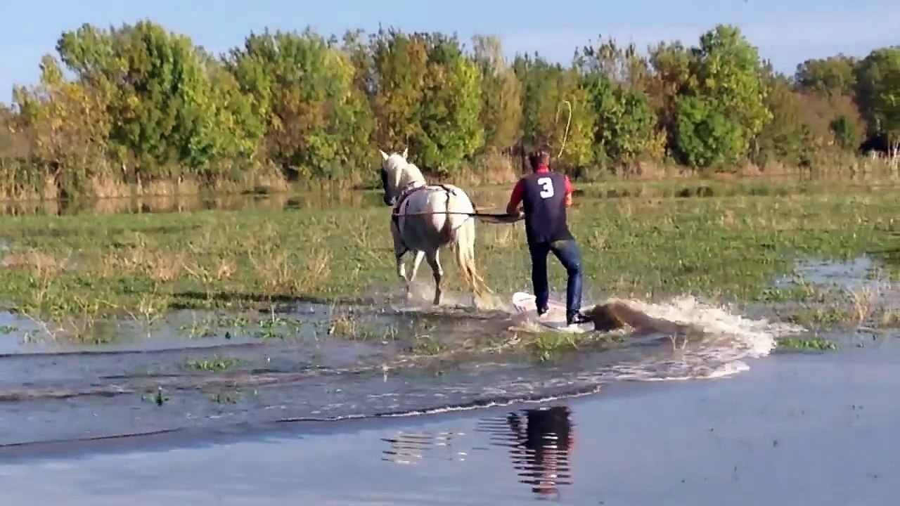 comment faire du wakeboard avec un cheval