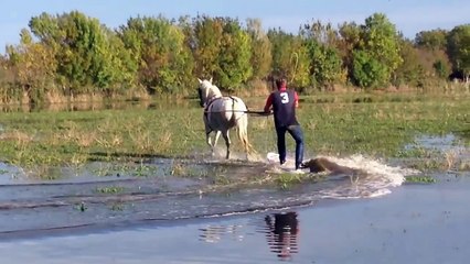 comment faire du wakeboard avec un cheval