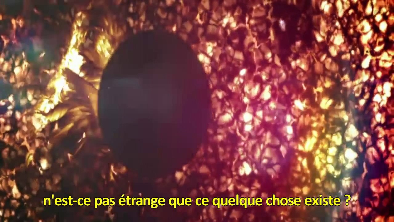 Alan Watts. - "Vous n'avez pas avoir peur de la vie" -